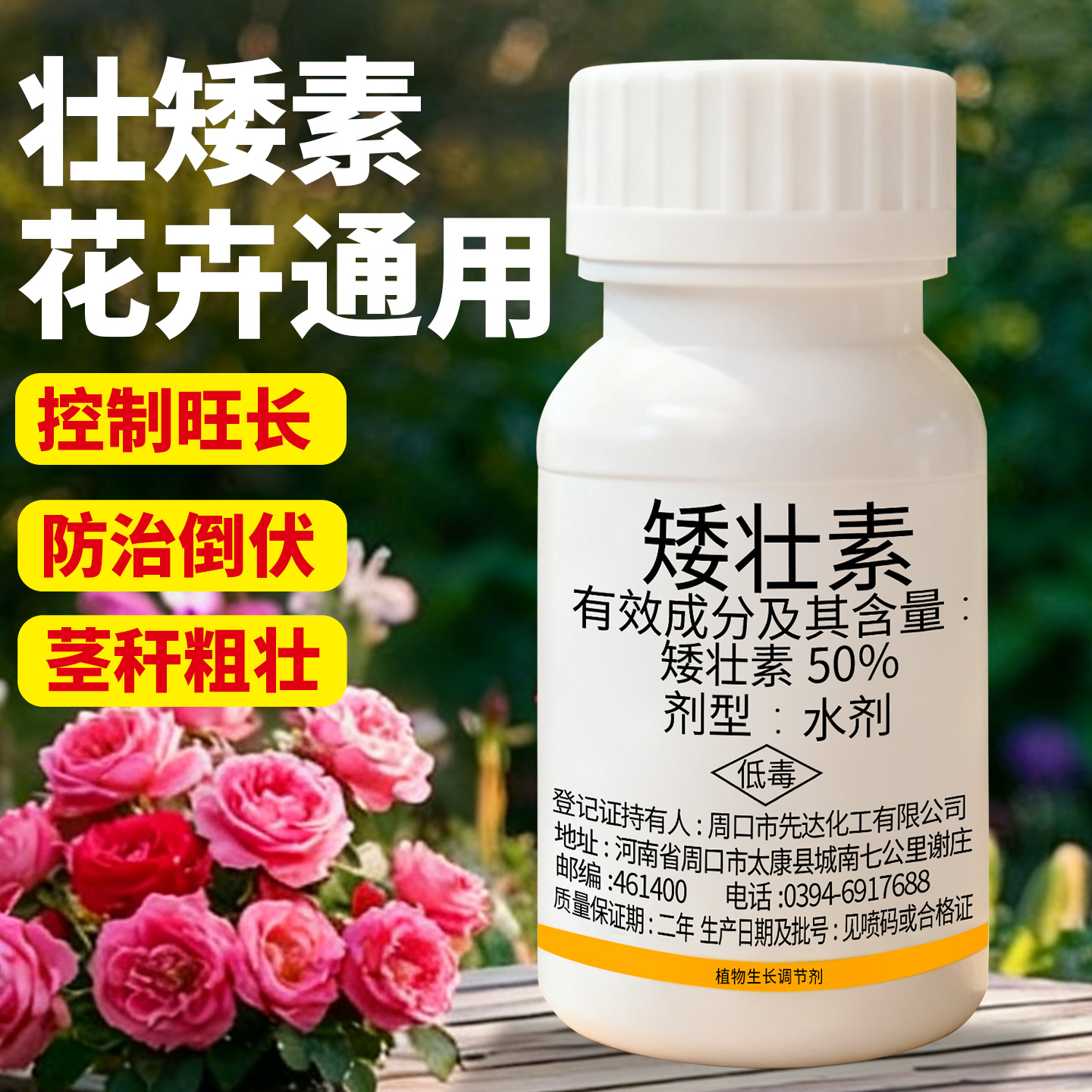【水仙花花卉专用】矮壮素