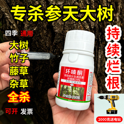 环嗪哃烂根除大树专用药环嗪哃酮铜竹子死杀大树根药强力除树一滴