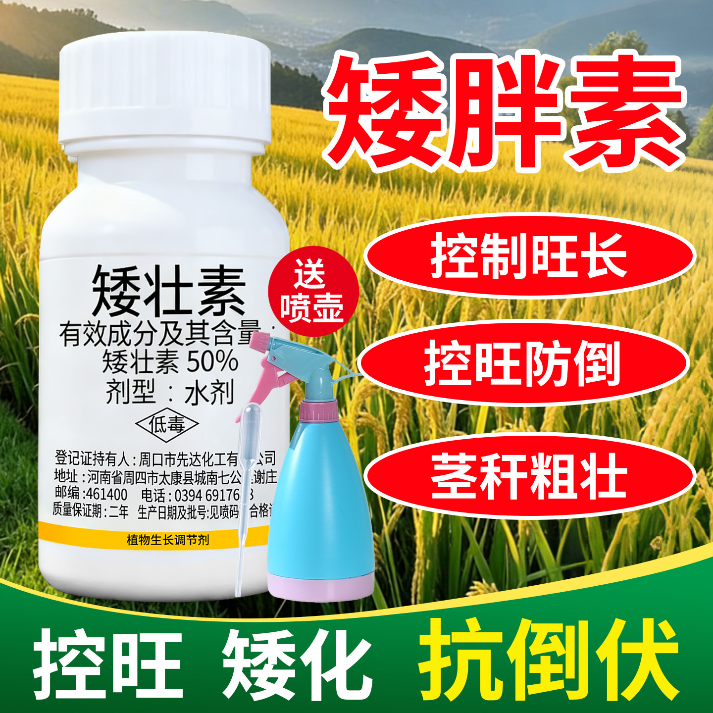 【3天矮化控旺！】矮壮素