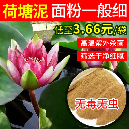 荷塘泥睡莲天然专用土
