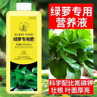 绿萝营养液绿萝专用肥绿萝肥料家用植物通用型水培绿箩营养液水养