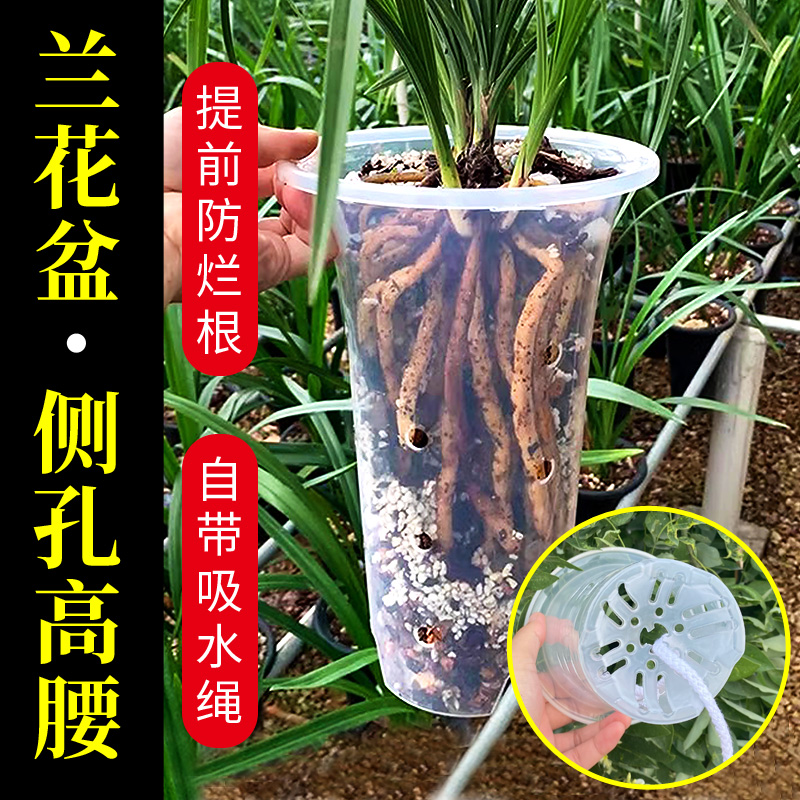 兰花盆专用花盆大口径透明塑料花盆透气高档高端建墨兰蝴蝶兰花盆