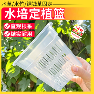 水培定植篮固定篮透气加深龟缸鱼缸水草水竹水生水植物铜钱草固定
