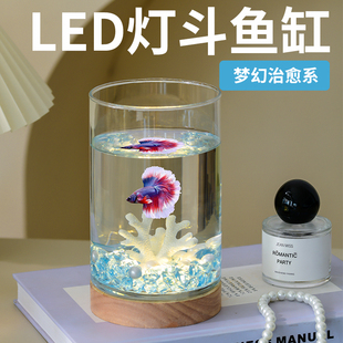 创意圆柱金鱼缸客厅桌面水晶石造景带发光底座装饰小型生态玻璃缸