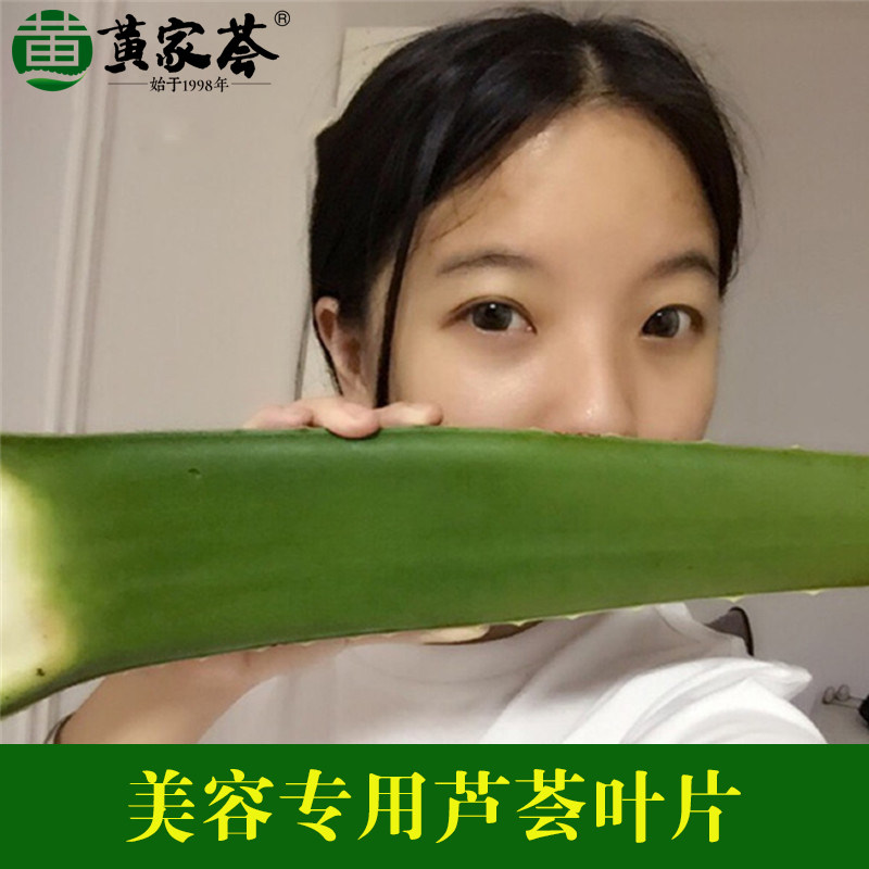 芦荟室内外美容美白补水图片