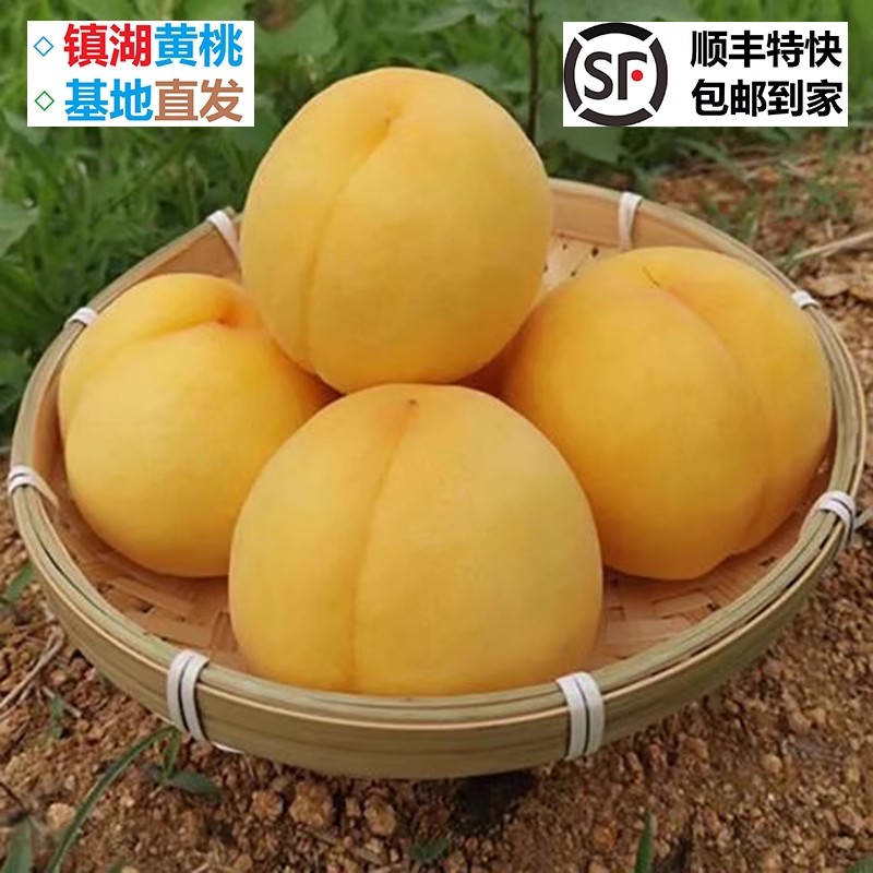 正宗苏州镇湖锦绣黄桃整