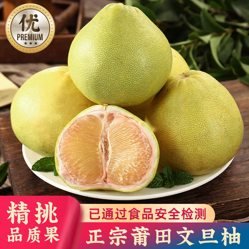 10斤正宗莆田文旦柚新鲜