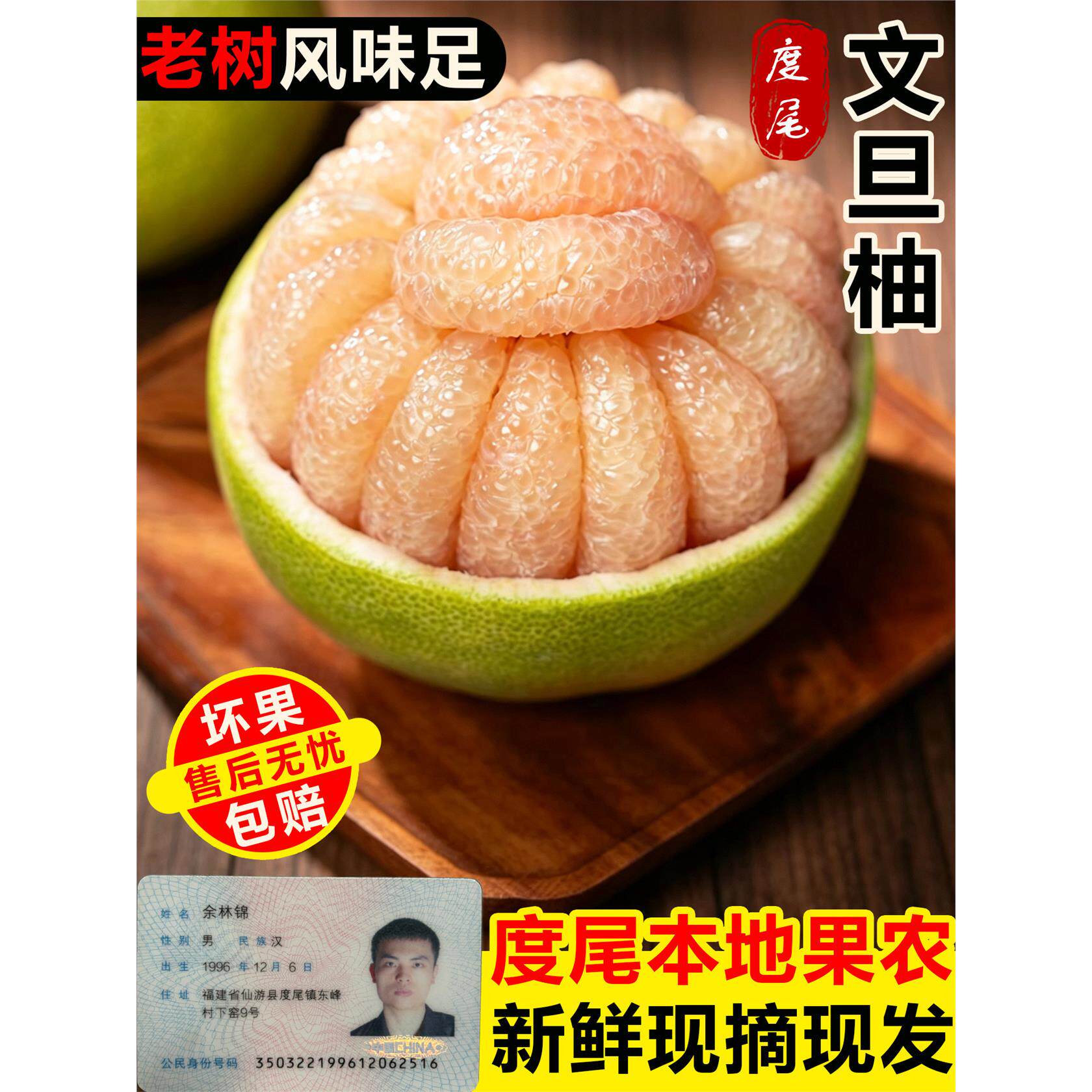 正宗度尾文旦柚红心柚子