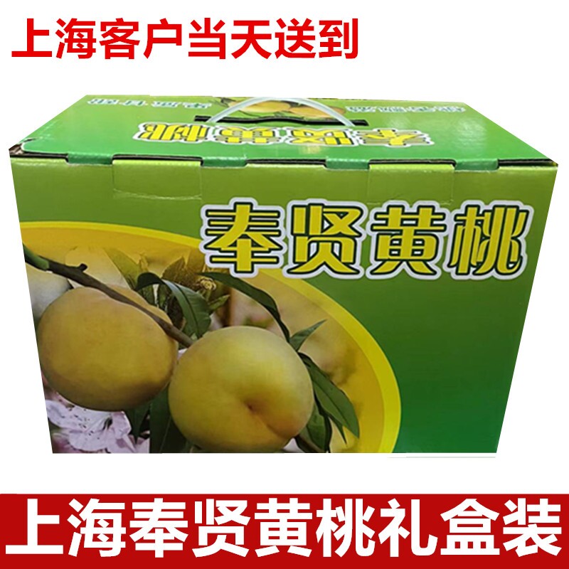 上海奉贤光明锦绣黄桃新