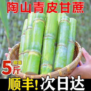正宗陶山青皮甘蔗新鲜水果5斤当季特产绿皮甘蔗手撕脆皮整箱3包邮