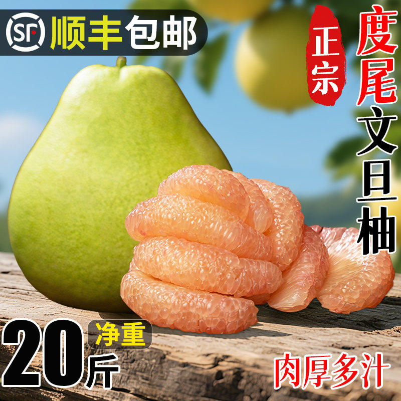 福建度尾文旦柚子正宗莆