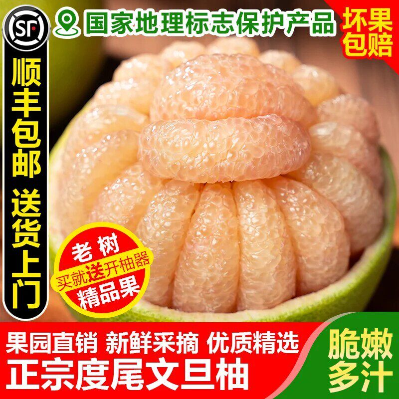 正宗福建仙游度尾文旦柚