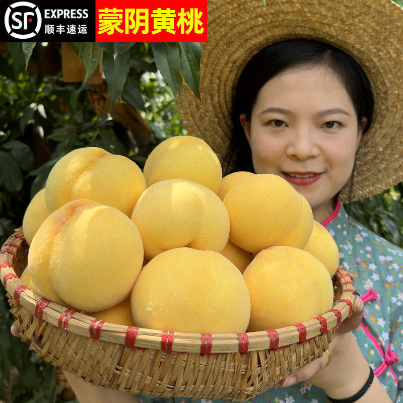 黄桃新鲜水果山东蒙阴现