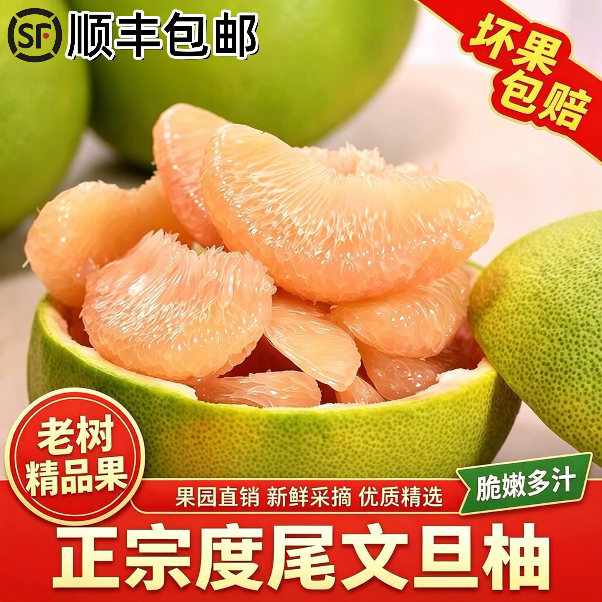 正宗福建仙游度尾文旦柚