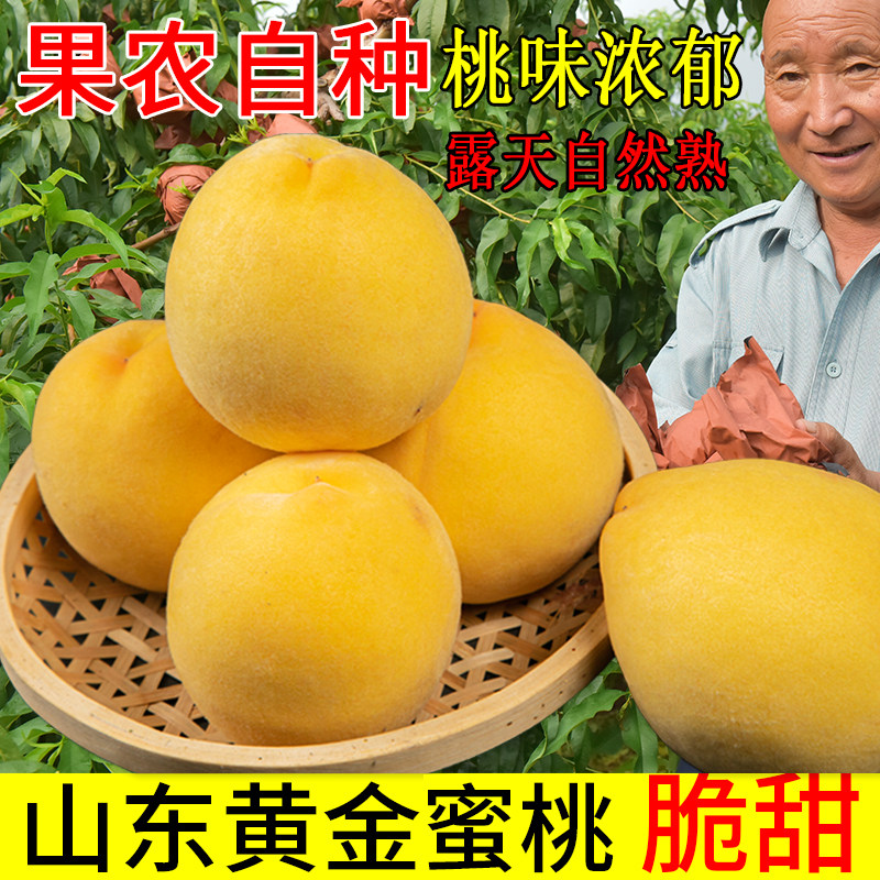 黄桃新鲜水果山东蒙阴锦