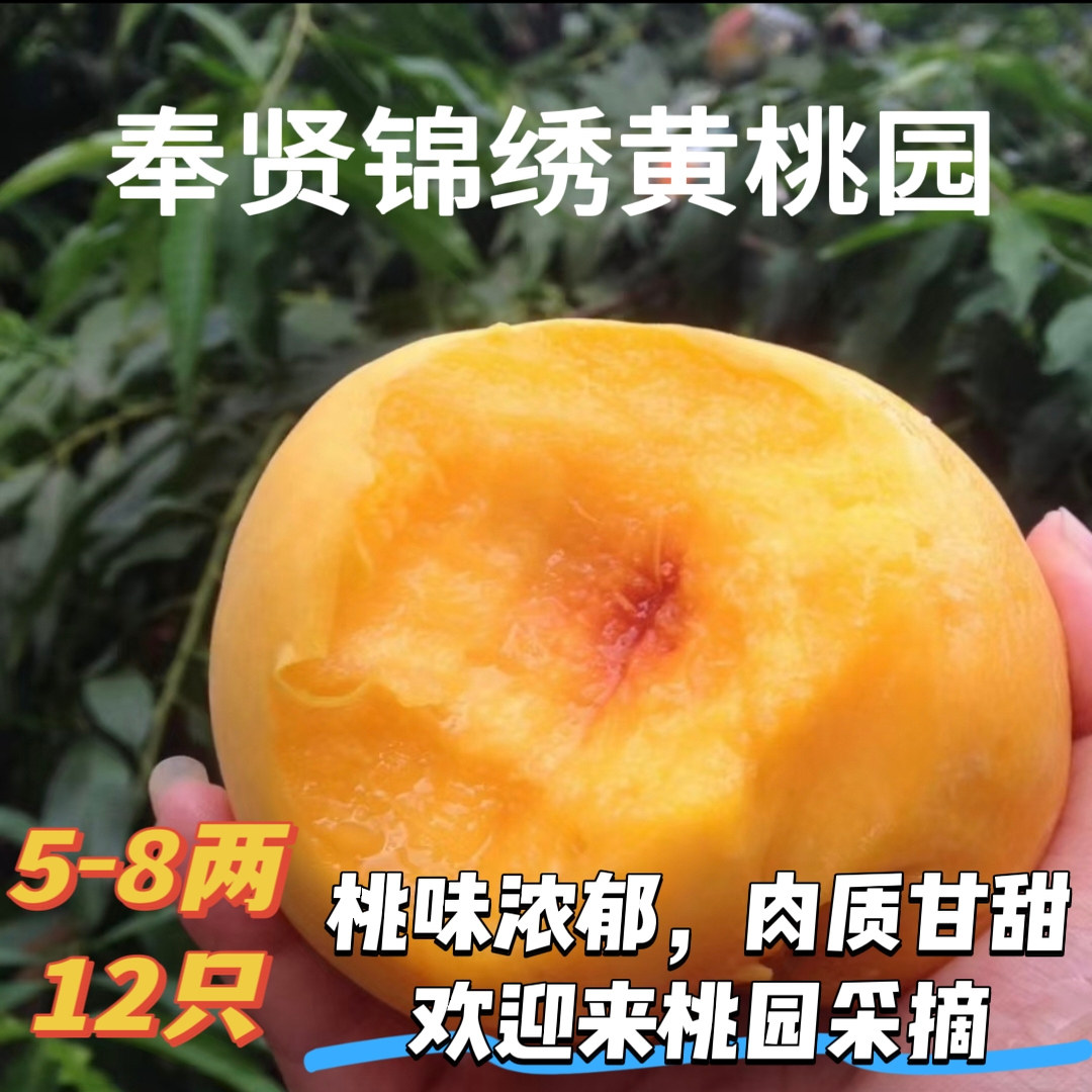 奉贤锦绣黄桃奉贤锦绣黄