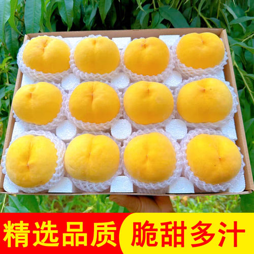陕西礼泉黄桃新鲜水果西