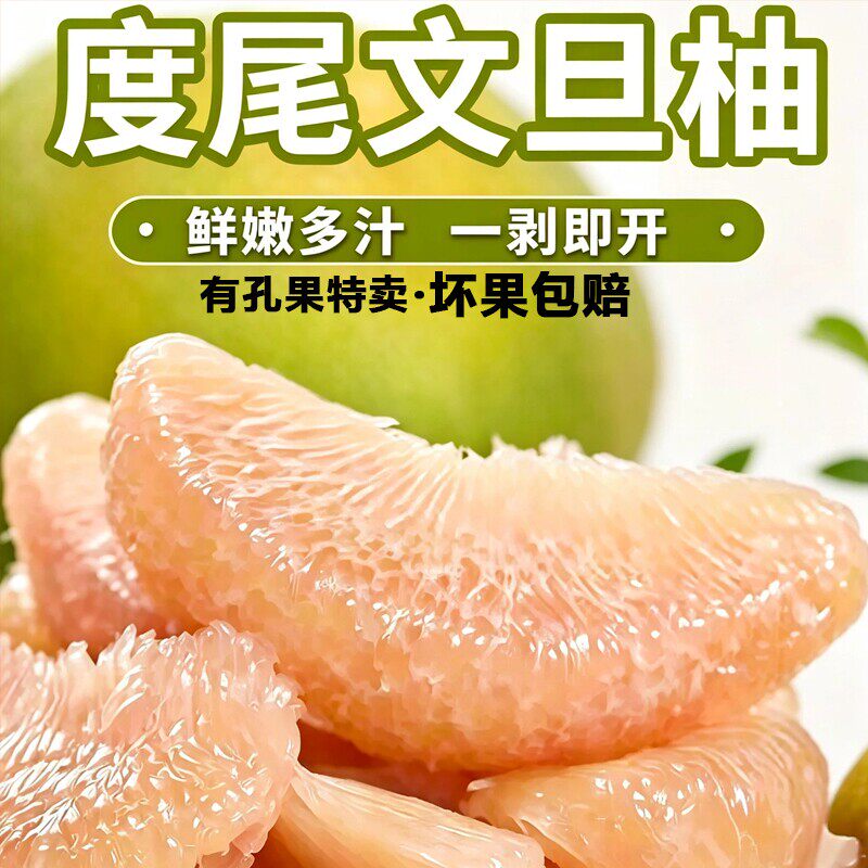 福建莆田仙游度尾文旦柚