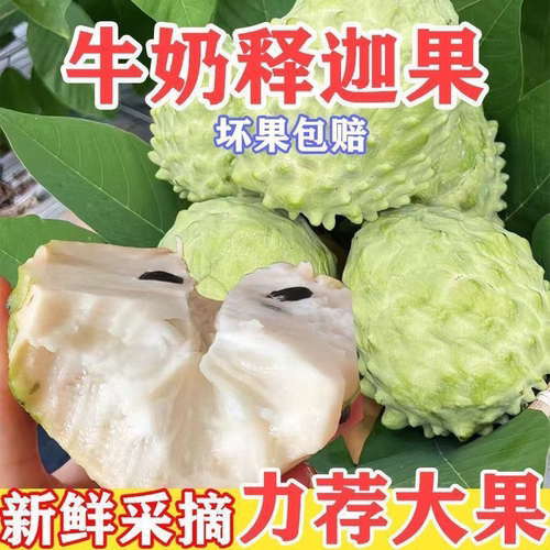 新鲜牛奶释迦果凤梨番荔