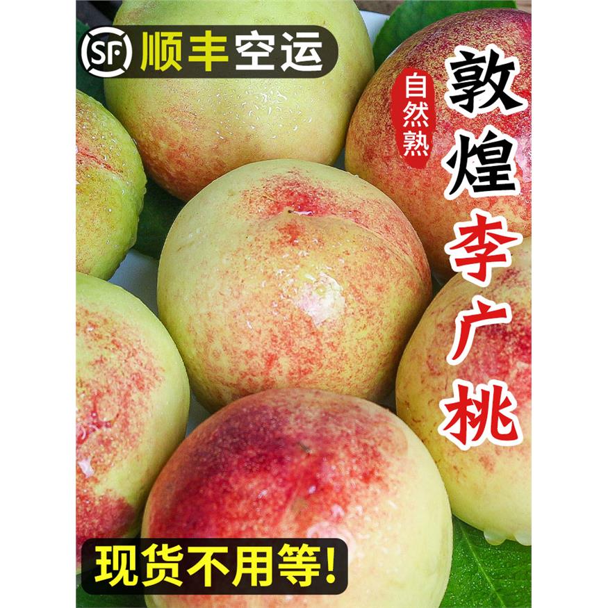 敦煌李广桃大青皮桃子紫