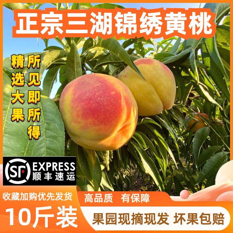 正宗10斤湖北江陵三湖锦