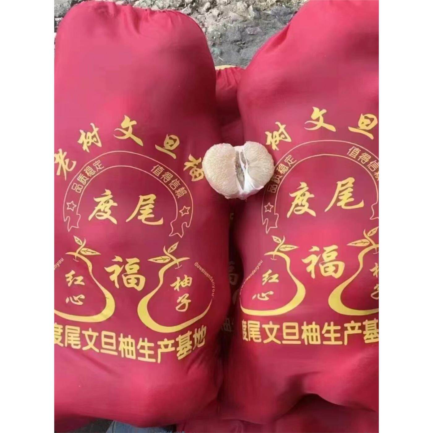 度尾文旦柚老树柚子当季