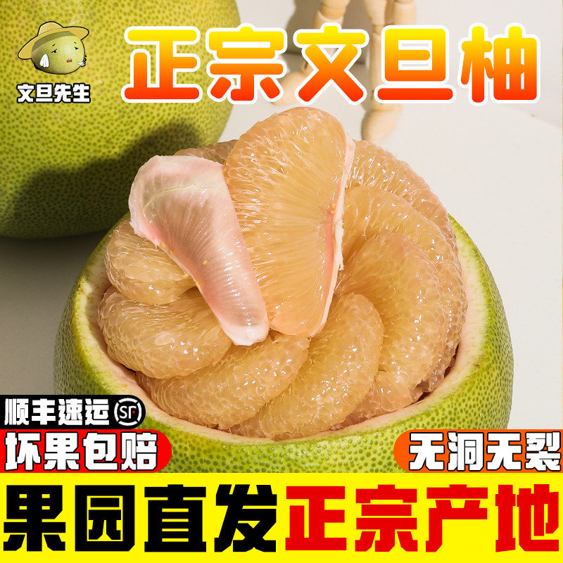 正宗文旦柚孕妇新鲜当季