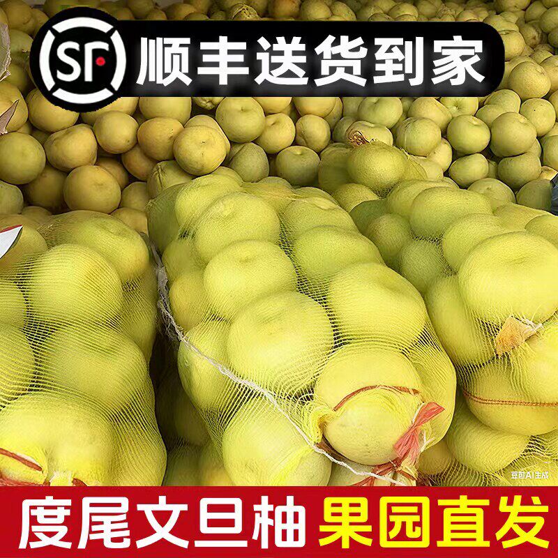 福建度尾文旦柚子莆田仙