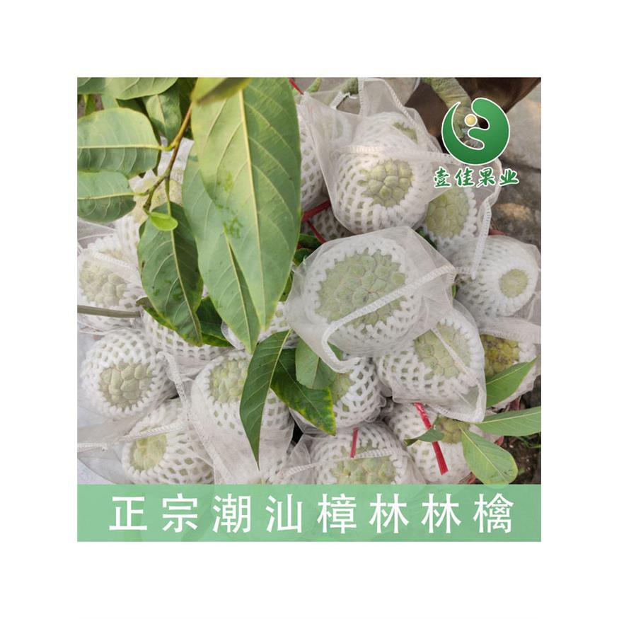 林檎专营释迦果樟当季水