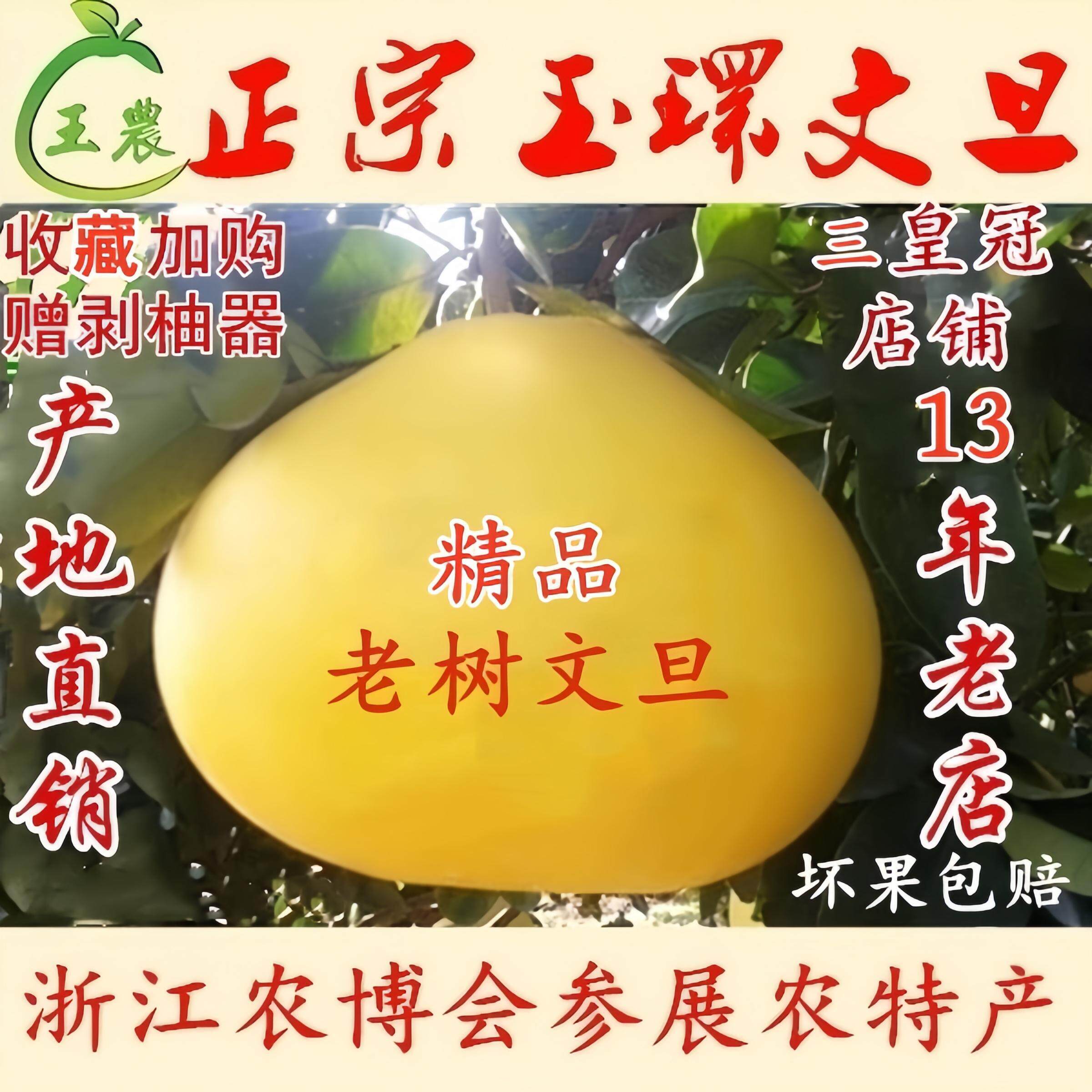 正宗玉环文旦柚子新鲜水