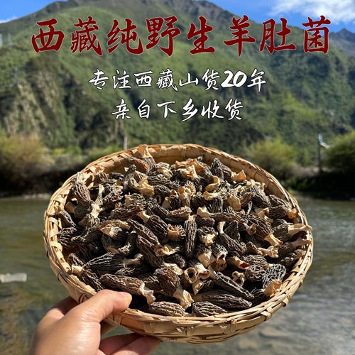 西藏野生羊肚菌林芝波密高海拔西藏直发新采头茬羊肚菌干货500g