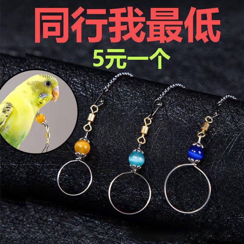 鹦鹉脖套不锈钢玄凤牡丹虎皮栓鸟链遛鸟放飞训练脖圈带链子咬不烂
