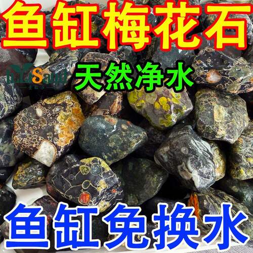 梅花玉(安山玉)鱼缸造景净水石头造景石净化水质天然玉石铺底石