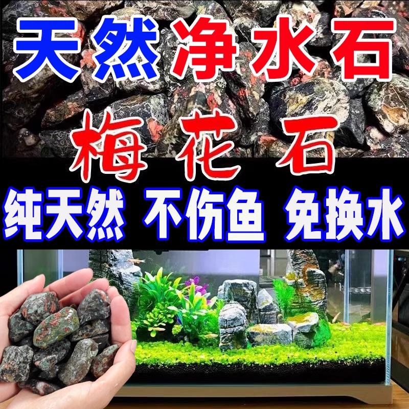 鱼缸净化水质过滤底部砂石安山梅花玉石天然溪流铺底底砂鱼缸石