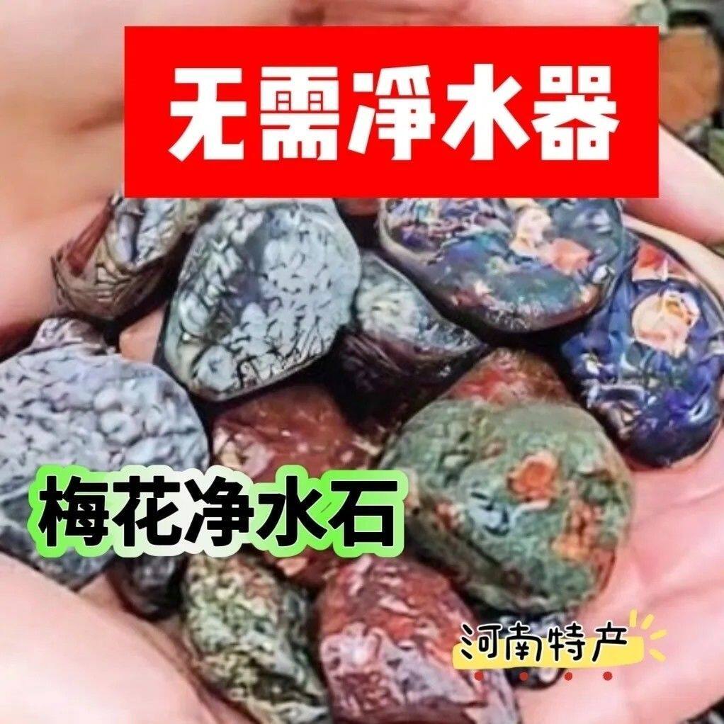 天然梅花石净水石鱼缸过滤石鱼缸水族箱污水净化铺底造景观赏石