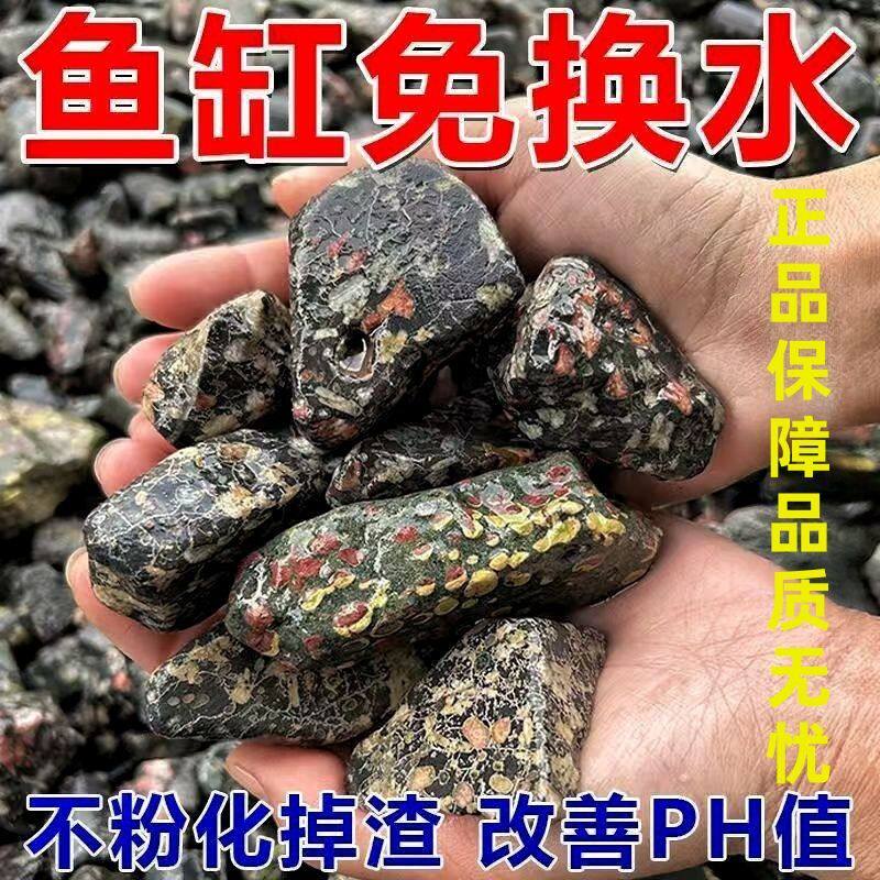 天然梅花石安山岩净水鱼缸底沙不换水造景专用铺底石过滤材料