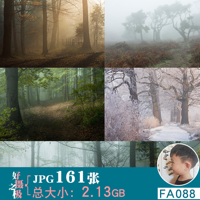 高清树林神秘云雾迷人光线迷雾森林风景风光jpg图片美术参考素材