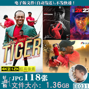高尔夫明星老虎伍兹泰格伍兹高清电脑手机图片壁纸JPG素材电子版