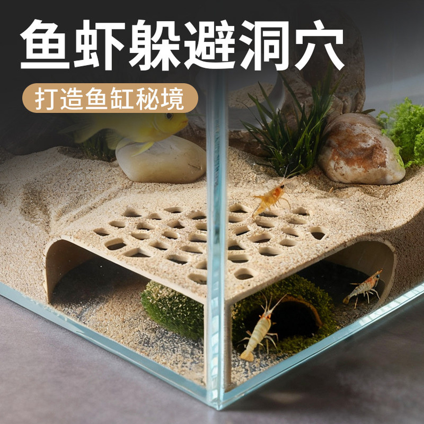 虾虎鱼躲避屋摆件鱼苗小虾小型观赏地下洞穴黑壳虾米繁殖躲避洞