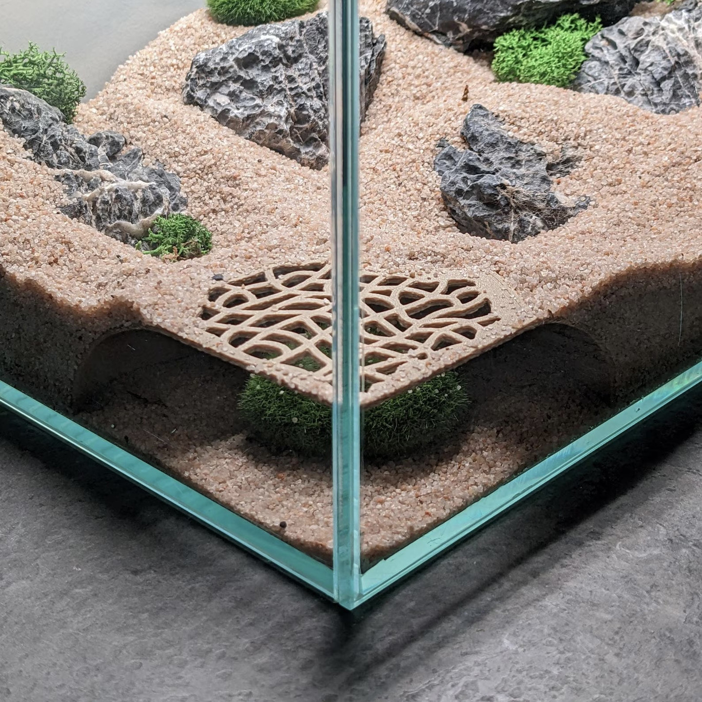 爬宠虾虎鱼躲避屋洞穴鱼缸观赏造景地下洞穴单双洞口饲养缸装饰