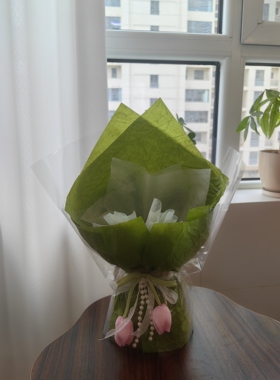 绿色鲜花包装半成品扭扭棒花钩织花花壳diy神器带花泥花壳定制