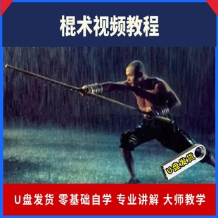 短棍教学棍术视频教程少林棍双节棍短棍甩棍鞭杆疯魔棍长棍U盘
