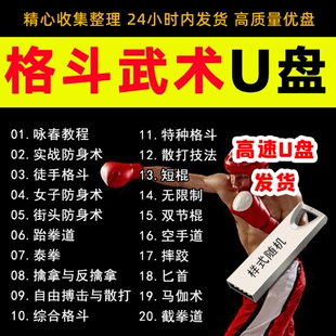 武术U盘擒拿格斗散打防身术泰拳咏春跆拳道空手课程视频教程优盘
