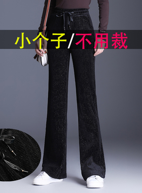 155小个子闪闪丝绒金丝绒直筒微喇叭女秋冬加厚高腰灯芯绒阔腿裤