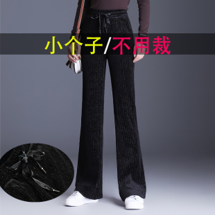 155小个子闪闪丝绒金丝绒直筒微喇叭女秋冬加厚高腰灯芯绒阔腿裤