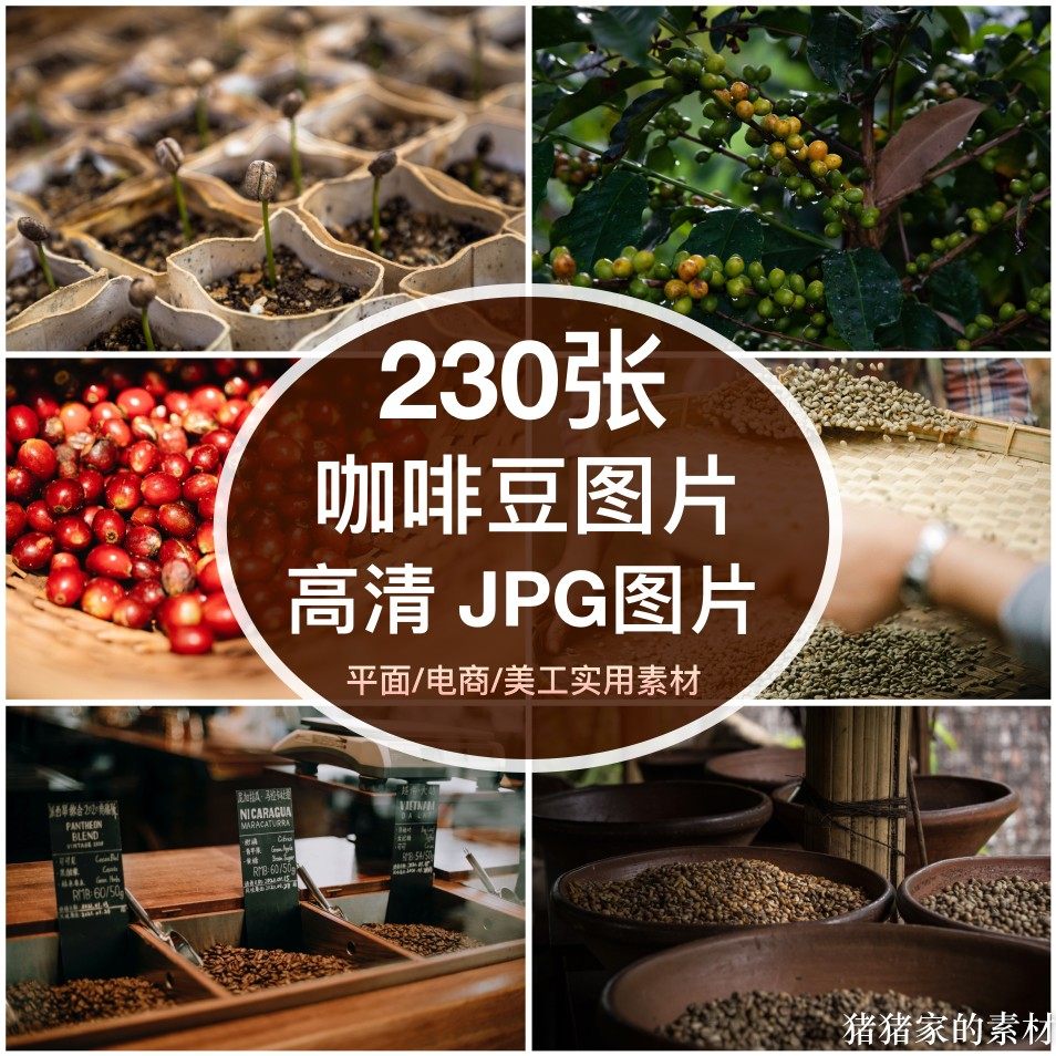 高清图库 咖啡豆咖啡园采摘图片设计素材/源文件