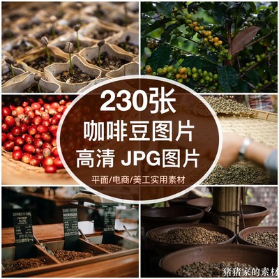 高清图库 咖啡豆咖啡园采摘图片生豆烘焙装饰绘画打印喷绘素材
