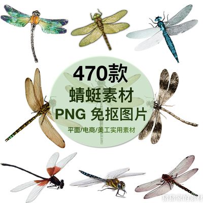 蜻蜓飞舞png图片免抠手绘水彩卡通蝴蝶ps插图装饰设计背景素材