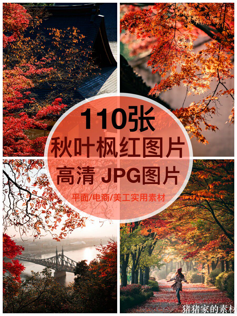 高清全竖图 秋叶红枫叶图片素材深秋季抖音图文自然风景手机壁纸