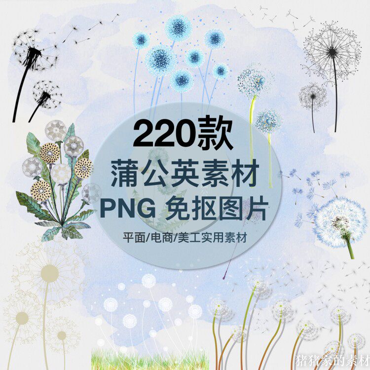 手绘卡通水墨水彩蒲公英png图片免抠ps透明插图装饰设计素材